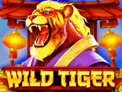 Wild Tiger game cover