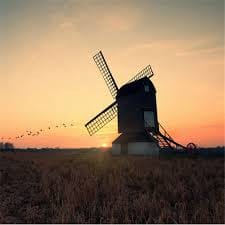 حیدر علی avatar