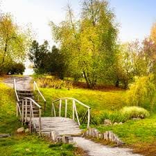 علیہ ریاض avatar